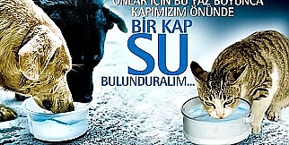 BİR KAP SUYU ESİRGEMEYİN