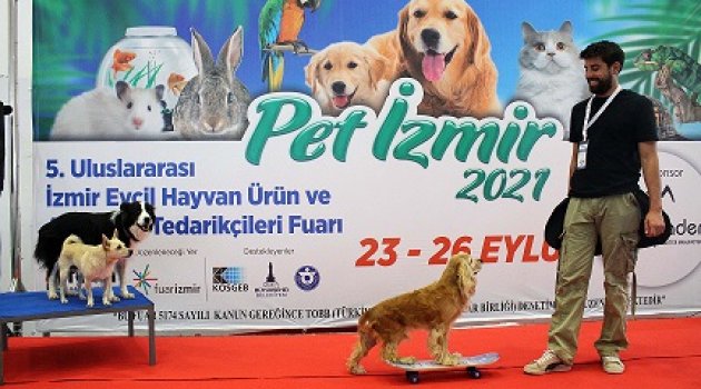 AKILLI KÖPEKLER ALKIŞLARI TOPLADI