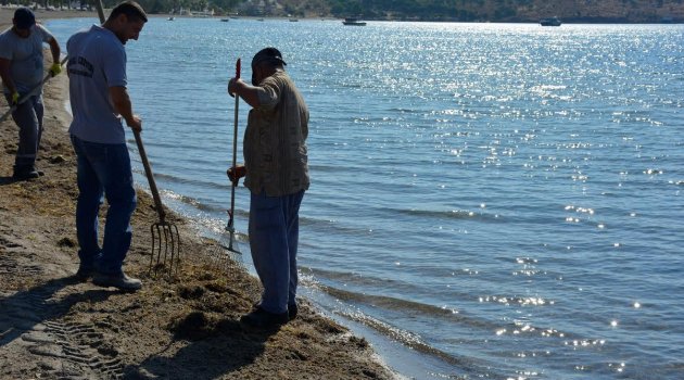 Çandarlı Plajlarında Sabah Temizliği