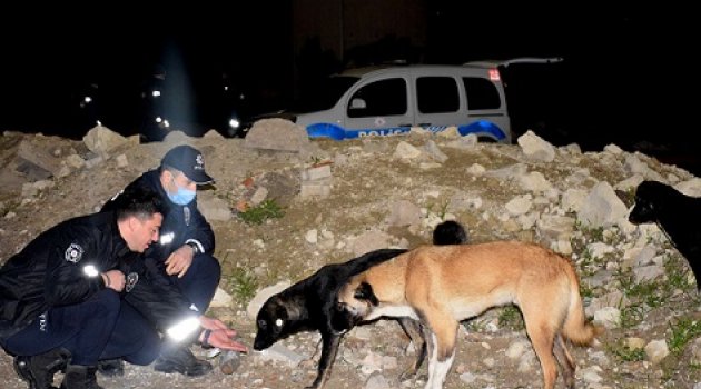 Çeşme Emniyeti'nden can dostlara mama