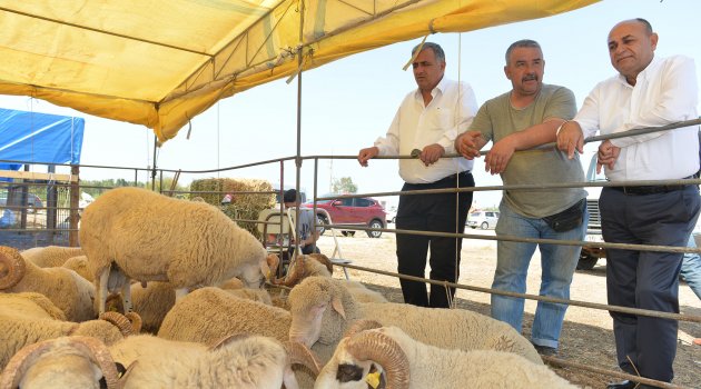 ÇİĞLİ’DE KURBAN BAYRAMI HAZIRLIKLARI TAMAMLANDI