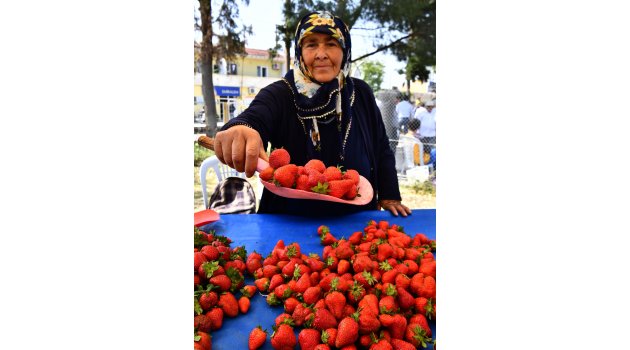 Çileği ile ünlü Emiralem'de festival coşkusu yaşandı