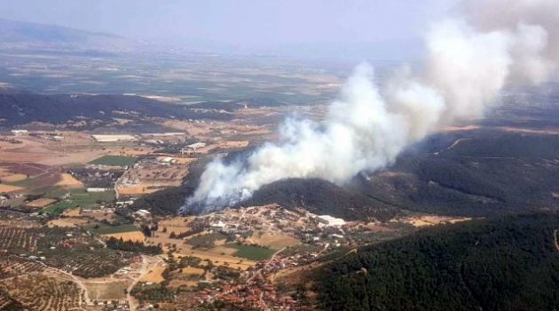 Foça ilçesinde ormanlık alanda yangın çıktı.