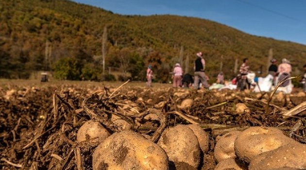 Hem üreticiye, hem ihtiyaç sahiplerine “alım garantili” destek