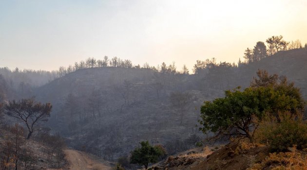 İzmir’deki yangınlarda 5 bin hektar orman yandı