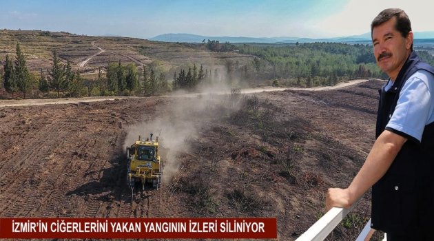 İzmir'in Ciğerlerini Yakan Yangının İzleri Siliniyor