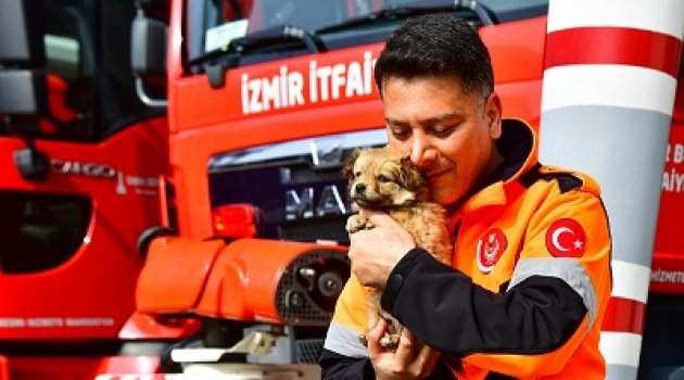 İzmirli itfaiyeci deprem bölgesinden gelen köpeğe yuvasını açtı 