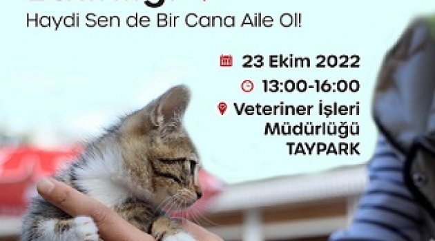 Karşıyaka’da can dostlara sıcak yuva aranıyor