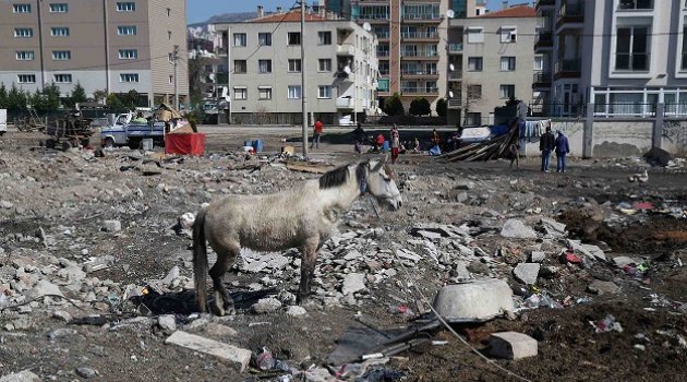 Karşıyaka’da yıkım operasyonu: Hurdacı çadırları kaldırıldı! 