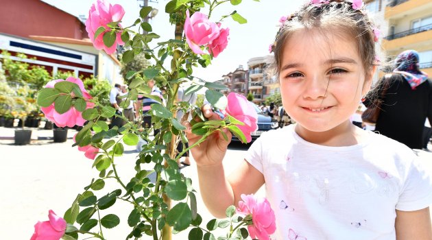 "Mis kokulu festival" başladı