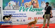 AKILLI KÖPEKLER ALKIŞLARI TOPLADI