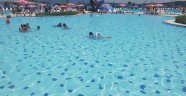 İzmirliler Aqua Yaşam’a yoğun ilgi gösterdi