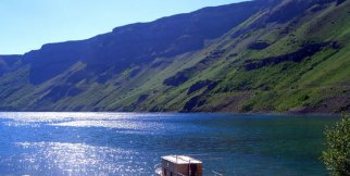 Van Gölü İnci Kefali-Pearl Mulet of the Lake Van